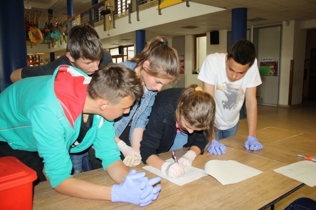 Elsősegély verseny