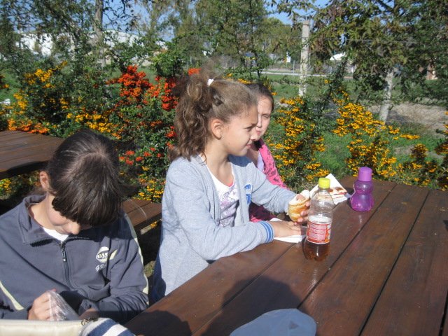 Látogatás a Gerle kúriában