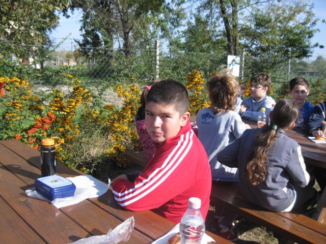 Látogatás a Gerle kúriában