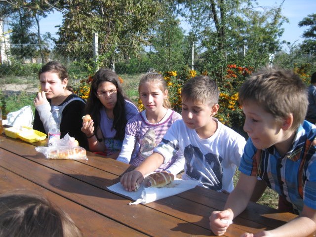 Látogatás a Gerle kúriában