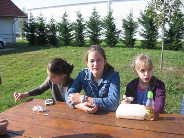 Látogatás a Gerle kúriában