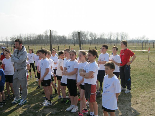 Körzeti mezei futó diákolimpia