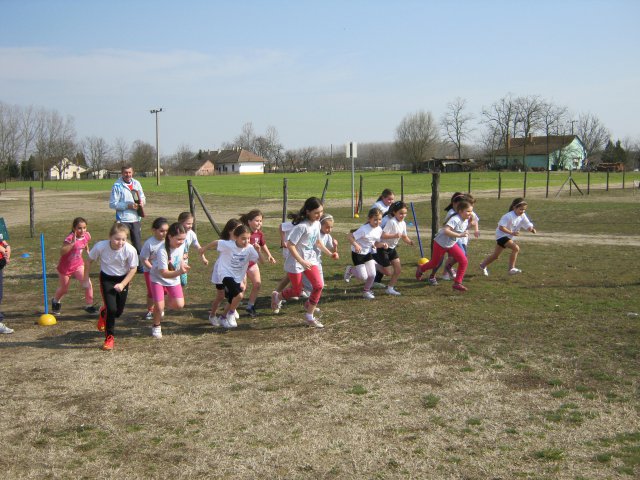 Körzeti mezei futó diákolimpia