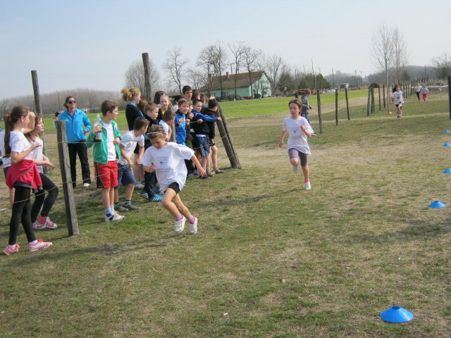 Körzeti mezei futó diákolimpia