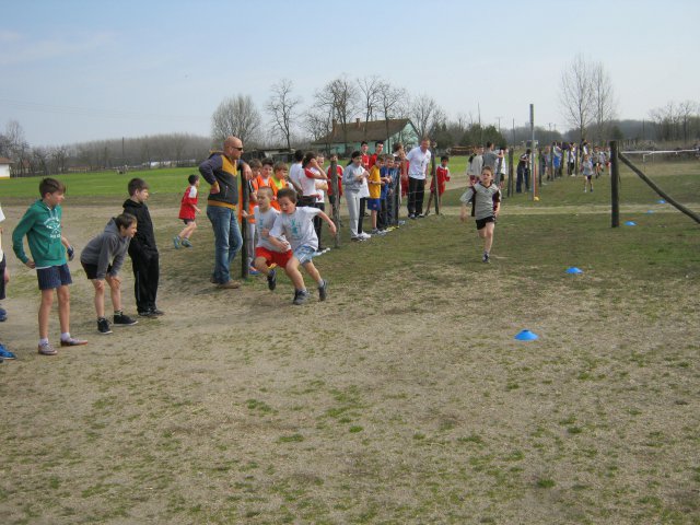 Körzeti mezei futó diákolimpia