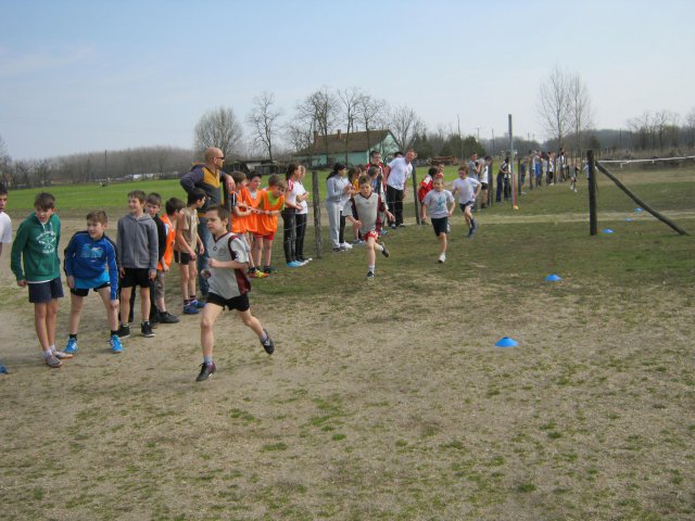 Körzeti mezei futó diákolimpia