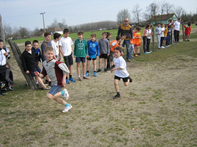 Körzeti mezei futó diákolimpia