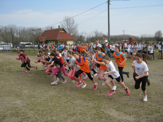 Körzeti mezei futó diákolimpia