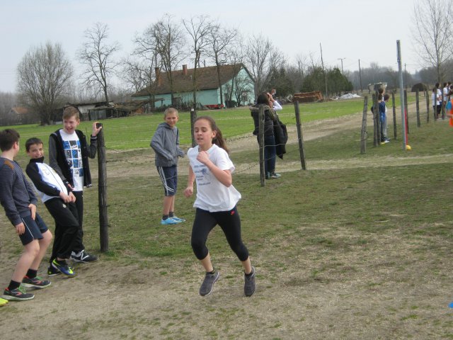 Körzeti mezei futó diákolimpia