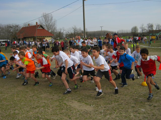 Körzeti mezei futó diákolimpia