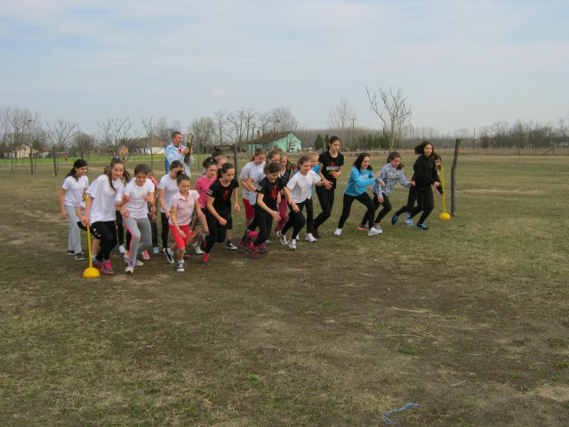 Körzeti mezei futó diákolimpia