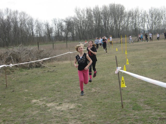 Körzeti mezei futó diákolimpia