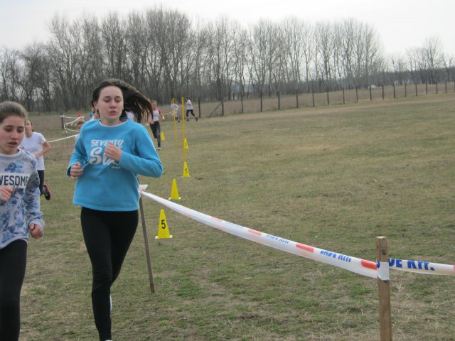 Körzeti mezei futó diákolimpia