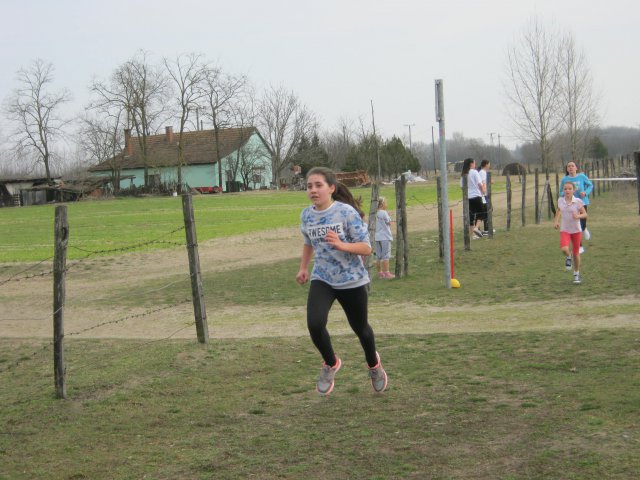 Körzeti mezei futó diákolimpia