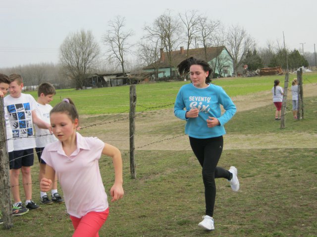 Körzeti mezei futó diákolimpia