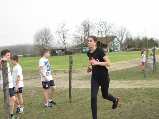Körzeti mezei futó diákolimpia