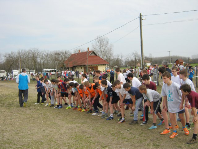 Körzeti mezei futó diákolimpia