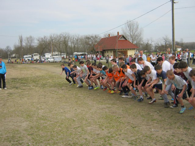 Körzeti mezei futó diákolimpia