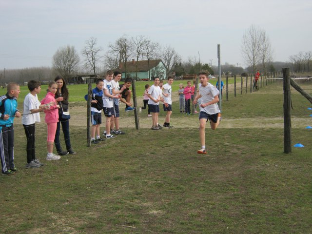 Körzeti mezei futó diákolimpia