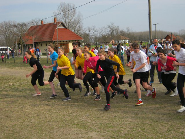 Körzeti mezei futó diákolimpia