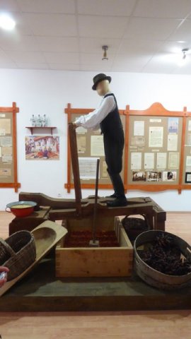 Paprika múzeumban az 5.b osztála