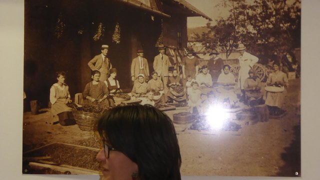 Paprika múzeumban az 5.b osztála