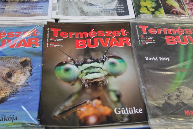 Csizmazia Természetismereti Verseny