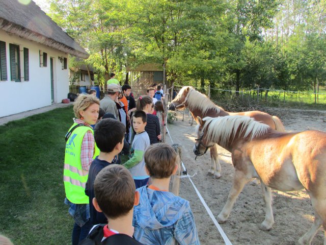 Állatok világnapja