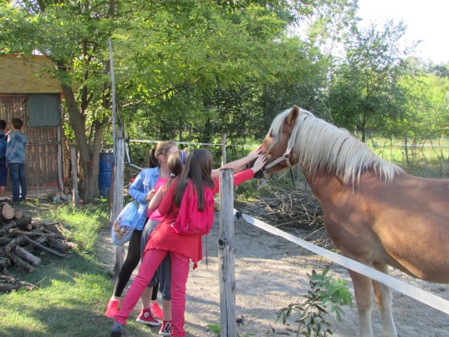 Állatok világnapja