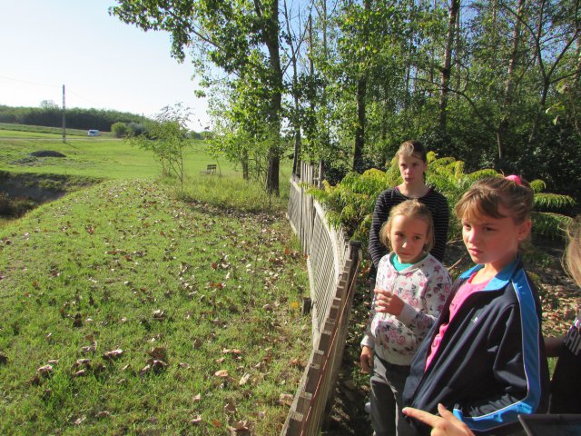 Állatok világnapja