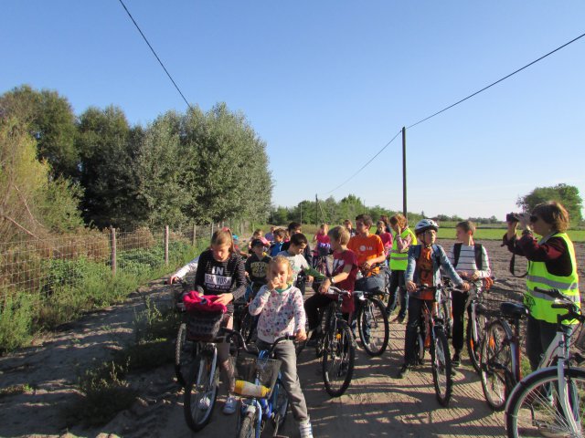 Állatok világnapja