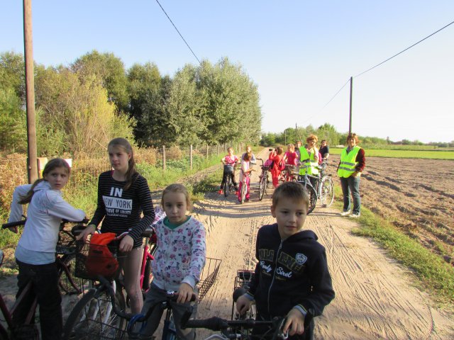 Állatok világnapja