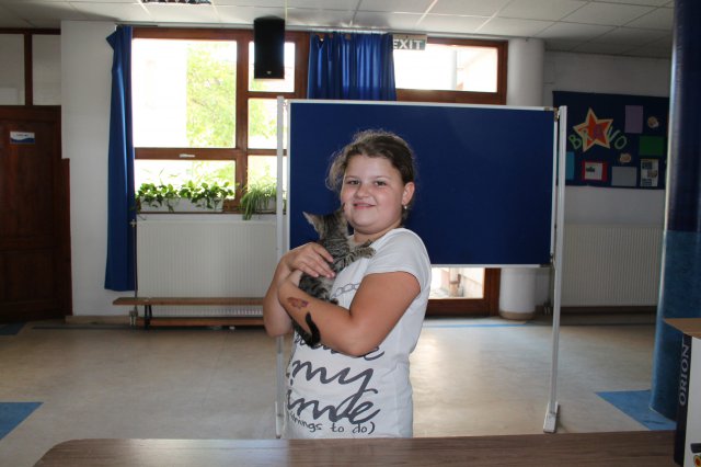 Állatok világnapja