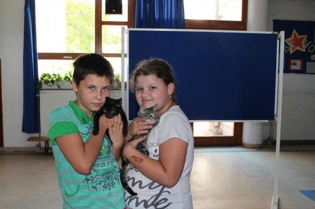 Állatok világnapja