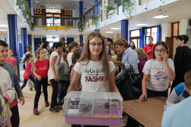 Állatok világnapja