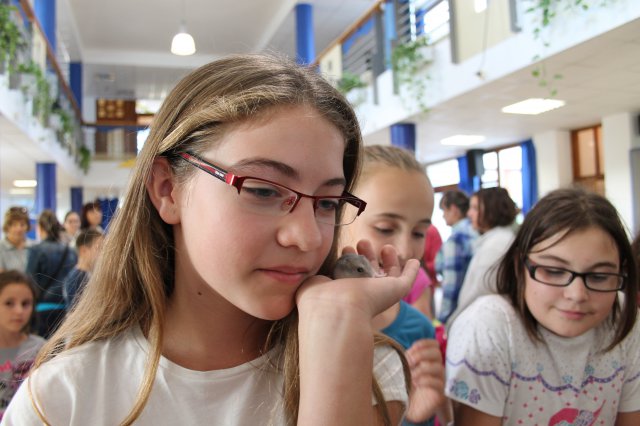 Állatok világnapja