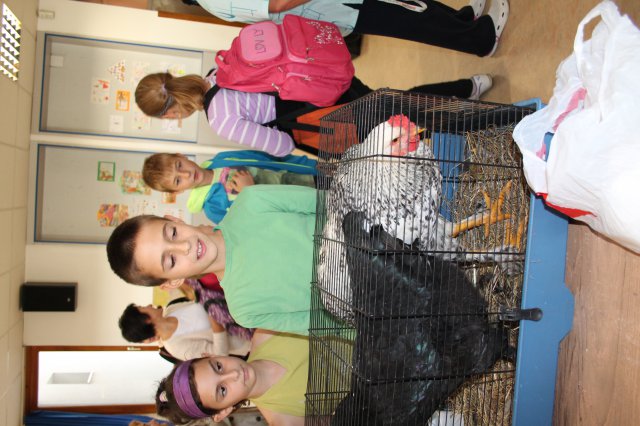 Állatok világnapja