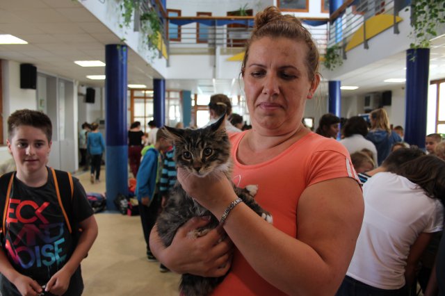 Állatok világnapja