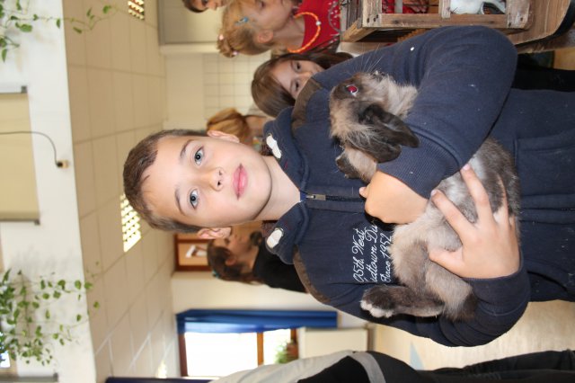 Állatok világnapja