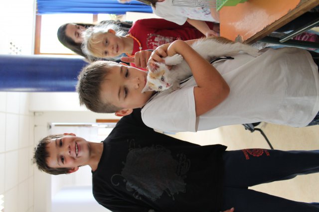 Állatok világnapja