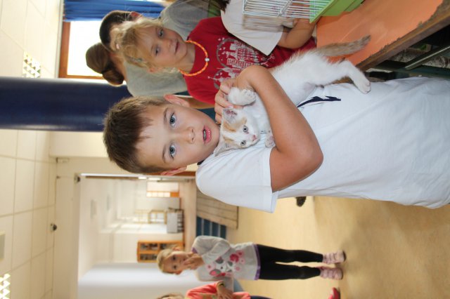 Állatok világnapja