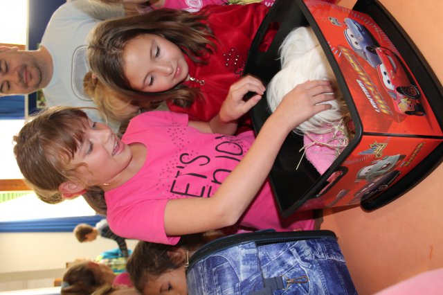 Állatok világnapja