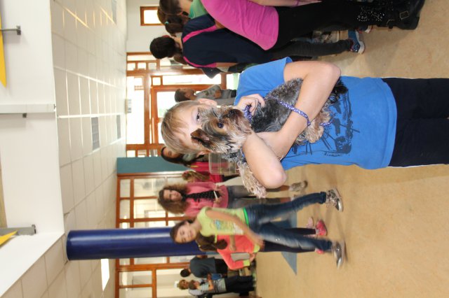 Állatok világnapja