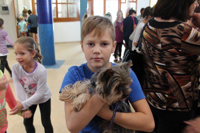 Állatok világnapja