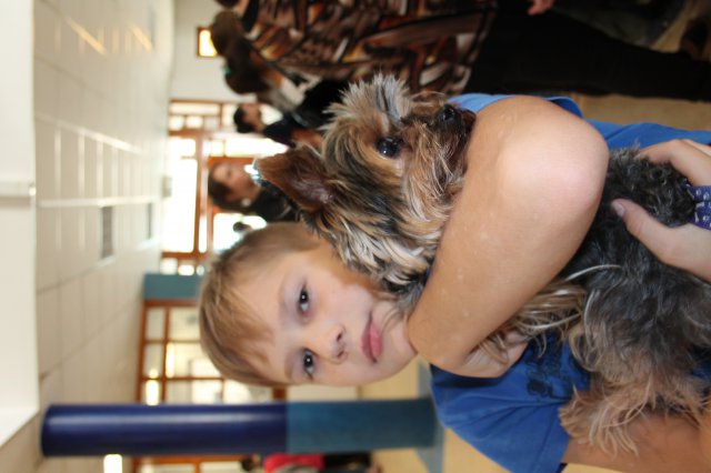 Állatok világnapja