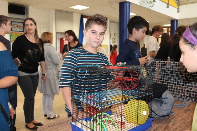 Állatok világnapja