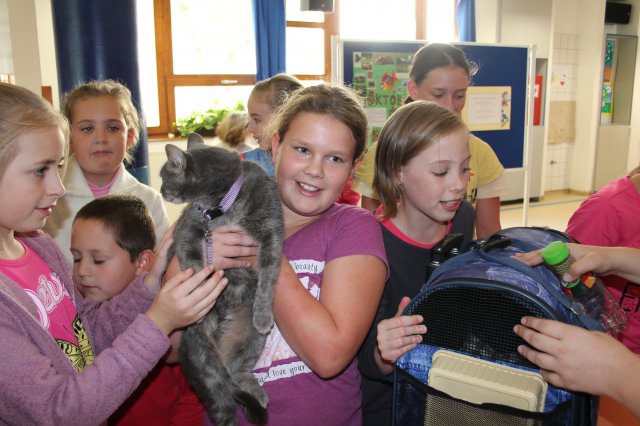 Állatok világnapja