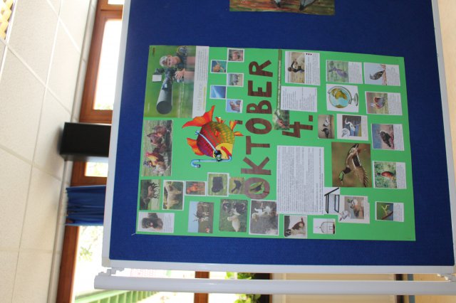 Állatok világnapja