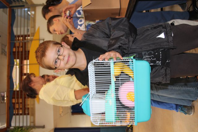 Állatok világnapja