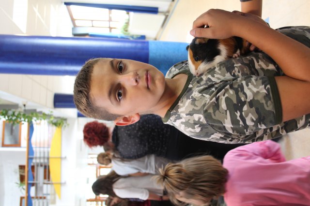 Állatok világnapja